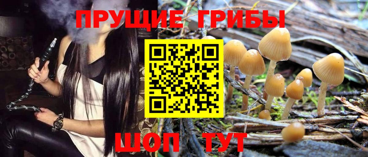 Псилоцибиновые грибы прущие грибы Луховицы